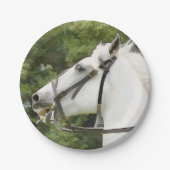 PFERDE PAPPTELLER (Vorderseite)