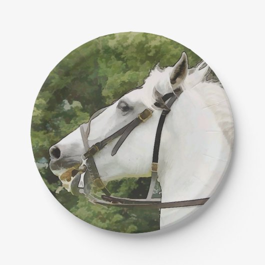 PFERDE PAPPTELLER (Vorderseite)