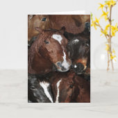 Pferde, Pferde, Pferde, die Cad grüßen Karte (Gelbe Blume)