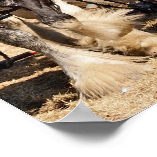 Pferde pflügen poster (Ecke)