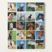 Pferde Planer (Rückseite)