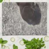 Pferde Pony Shetty Animal Minihoro Küchentuch (Gefaltet)