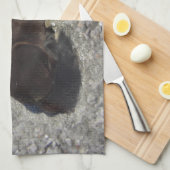 Pferde Pony Shetty Animal Minihoro Küchentuch (Viertel Falte)