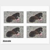 Pferde Pony Shetty Animal Minihoro Rechteckiger Aufkleber (Blatt)