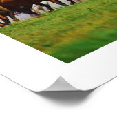 Pferde Poster (Ecke)