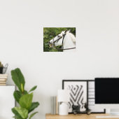 PFERDE POSTER (Heimbüro)