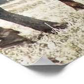 PFERDE POSTER (Ecke)