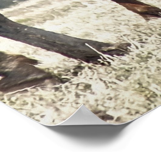 PFERDE POSTER (Ecke)