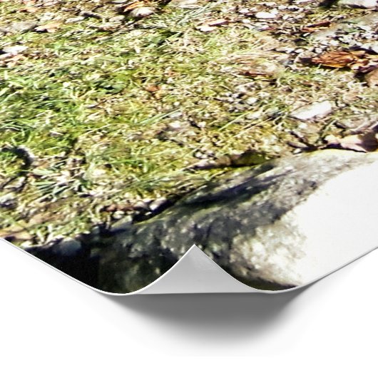 PFERDE POSTER (Ecke)