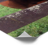 Pferde Poster (Ecke)