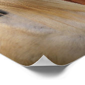 Pferde Poster (Ecke)