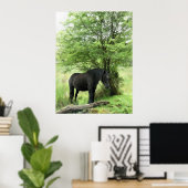 PFERDE POSTER (Heimbüro)