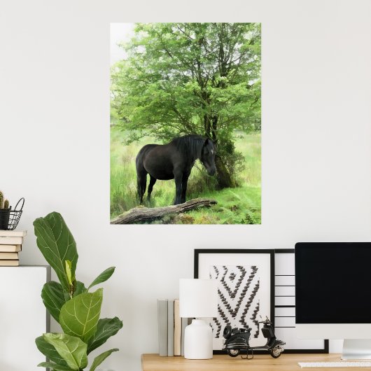 PFERDE POSTER (Heimbüro)