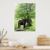 PFERDE POSTER (Küche)