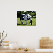 Pferde Poster (Küche)