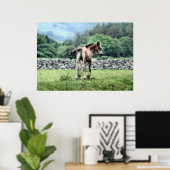 PFERDE POSTER (Heimbüro)