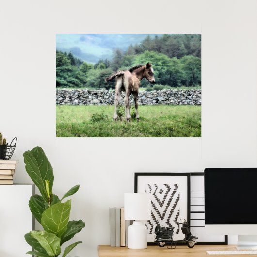 PFERDE POSTER (Heimbüro)