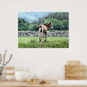 PFERDE POSTER (Küche)