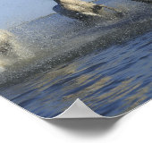 PFERDE POSTER (Ecke)