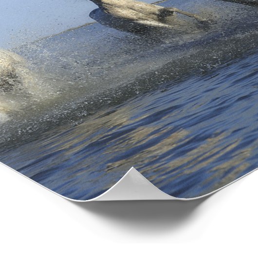 PFERDE POSTER (Ecke)