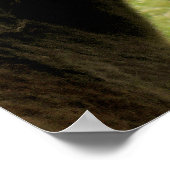 PFERDE POSTER (Ecke)