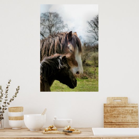 PFERDE POSTER (Küche)