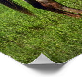 Pferde Poster (Ecke)