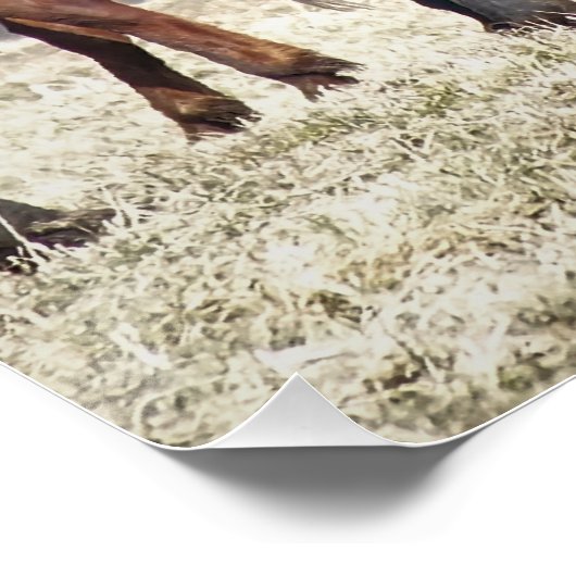 PFERDE POSTER (Ecke)