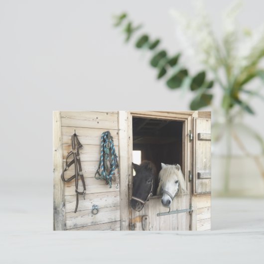 Pferde Postkarte (Stehend Vorderseite)