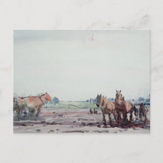 Pferde Postkarte (Vorderseite)