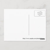 Pferde Postkarte (Rückseite)