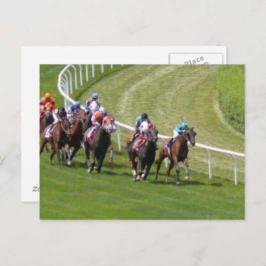 Pferde Postkarte (Vorne/Hinten)