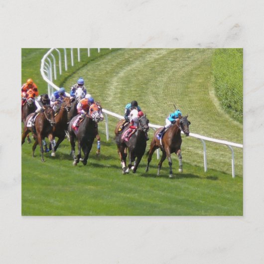 Pferde Postkarte (Vorderseite)