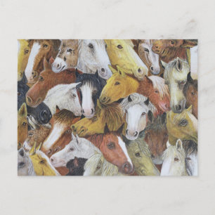 Pferde Postkarte