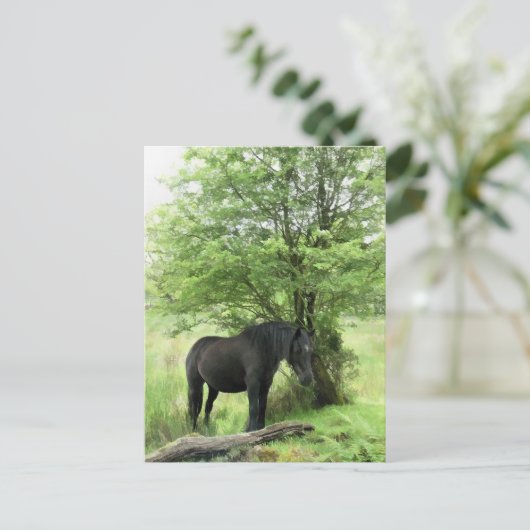 PFERDE POSTKARTE (Stehend Vorderseite)