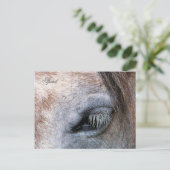 PFERDE POSTKARTE (Stehend Vorderseite)