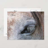 PFERDE POSTKARTE (Vorne/Hinten)