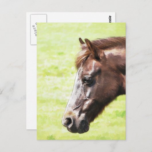 PFERDE POSTKARTE (Vorne/Hinten)