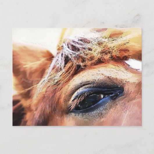 PFERDE POSTKARTE (Vorderseite)