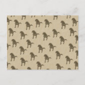 Pferde Postkarte (Vorderseite)