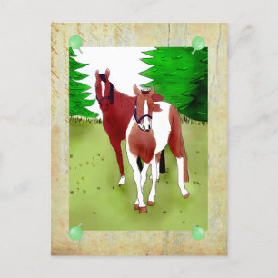 Pferde postkarte