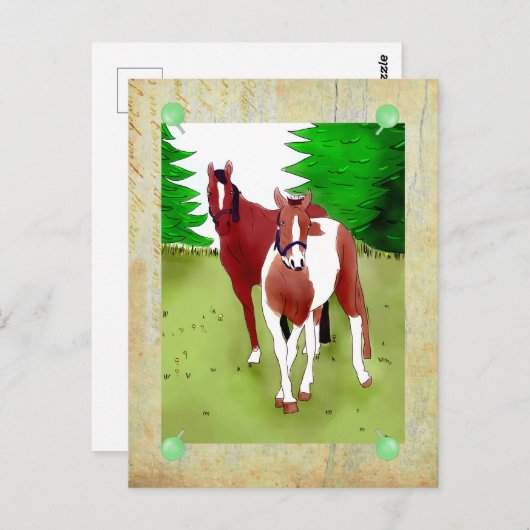 Pferde postkarte (Vorne/Hinten)
