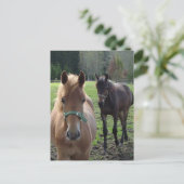 Pferde Postkarte (Stehend Vorderseite)