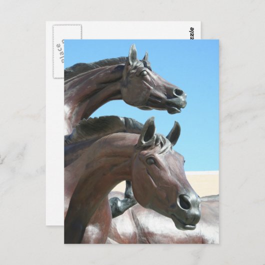 Pferde Postkarte (Vorne/Hinten)