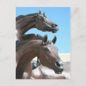 Pferde Postkarte (Vorderseite)