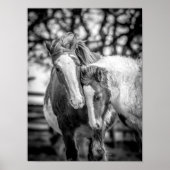 Pferde Print/Poster Poster (Vorne)