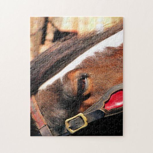 PFERDE PUZZLE (Vertikal)