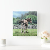 PFERDE QUADRATISCHE WANDUHR (Zuhause)