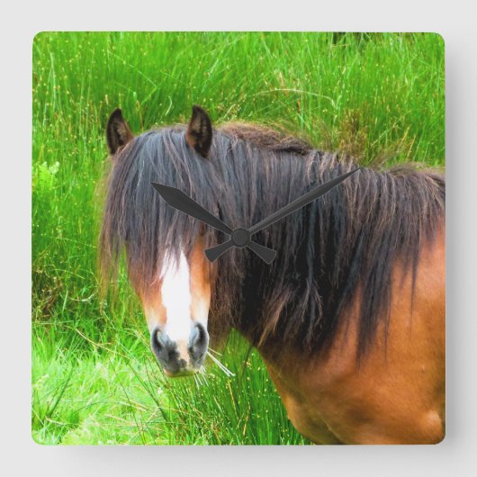 PFERDE QUADRATISCHE WANDUHR (Vorderseite)