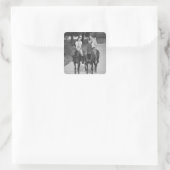 Pferde Quadratischer Aufkleber (Tasche)